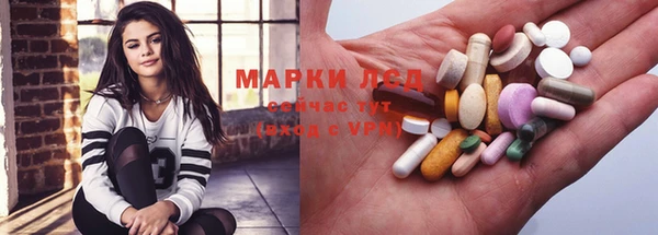 прущие грибы Михайлов