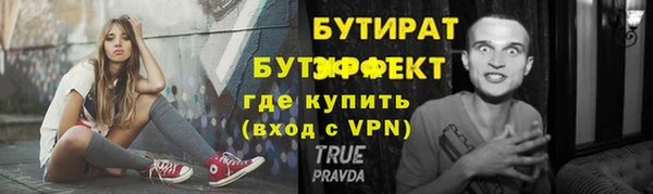 прущие грибы Михайлов