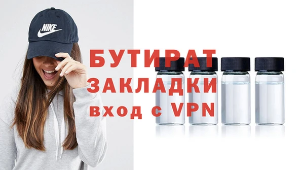 прущие грибы Михайлов