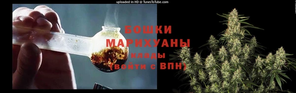 прущие грибы Михайлов