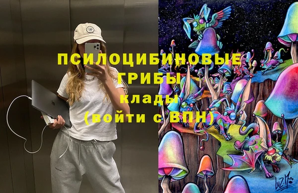 ALPHA PVP Михайловка