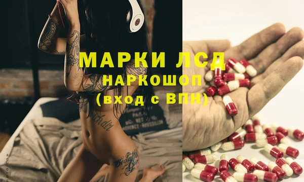 прущие грибы Михайлов