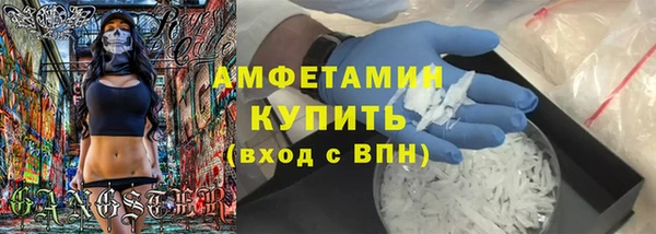 прущие грибы Михайлов