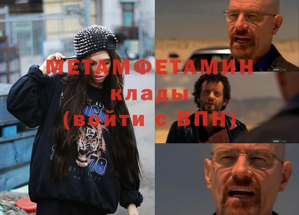 прущие грибы Михайлов