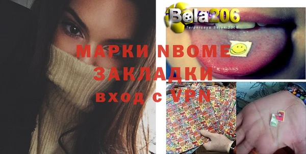 прущие грибы Михайлов